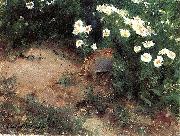 bruno liljefors Partridge with Daisies painting